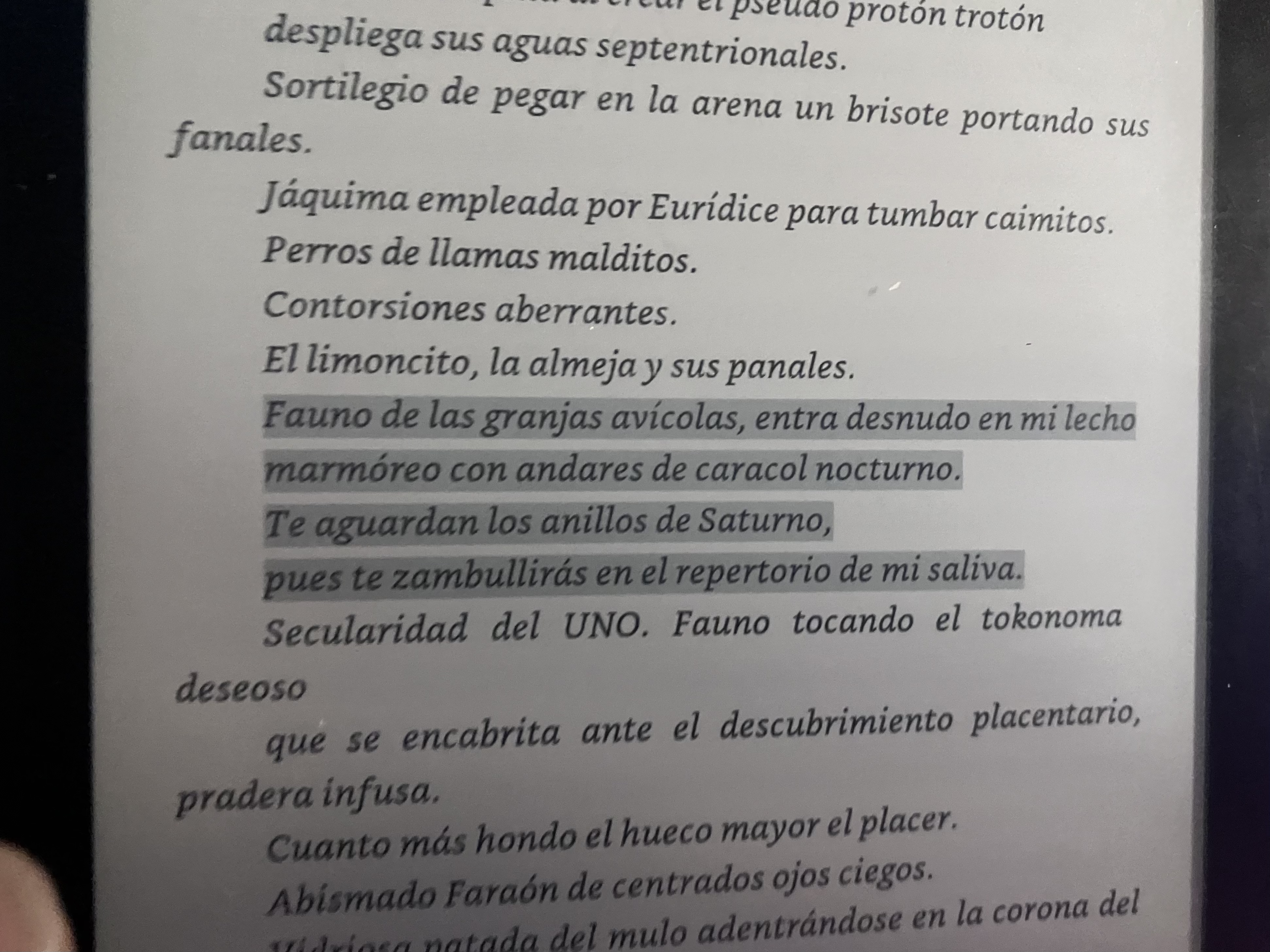 Foto 6